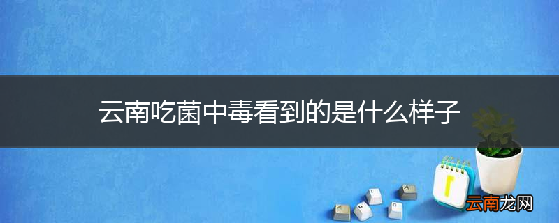 云南吃菌中毒看到的是什么样子