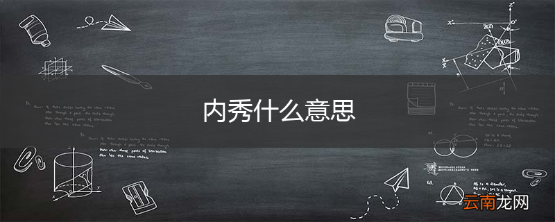 内秀什么意思