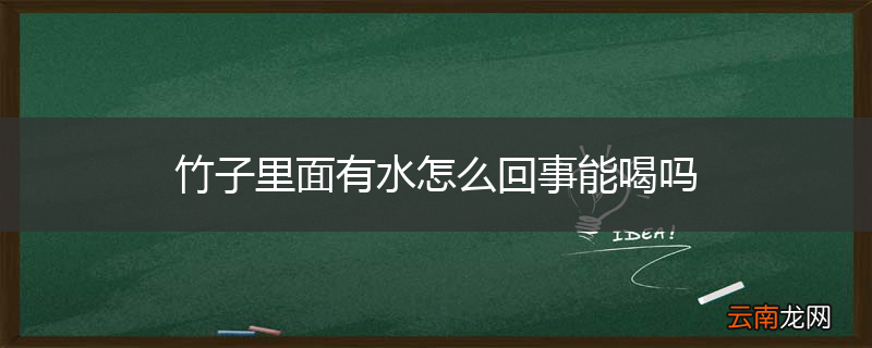 竹子里面有水怎么回事能喝吗