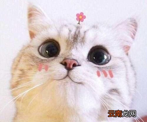怎么向老妈要钱？