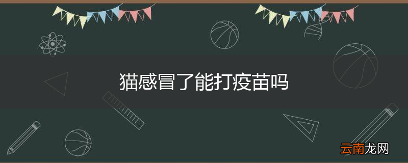 猫感冒了能打疫苗吗