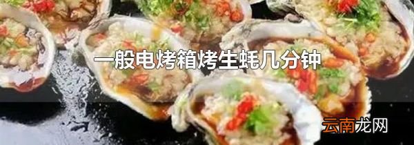 一般电烤箱烤生蚝几分钟