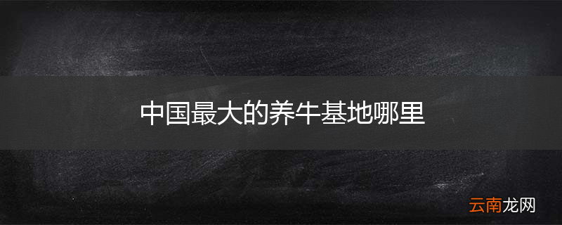 中国最大的养牛基地哪里