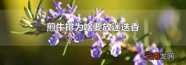 煎牛排为啥要放迷迭香