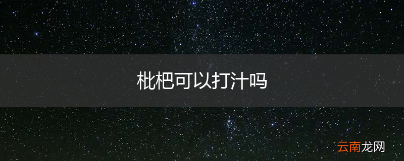 枇杷可以打汁吗