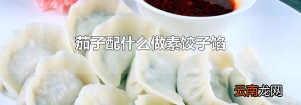 茄子配什么做素饺子馅