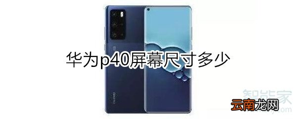华为p40屏幕尺寸多少