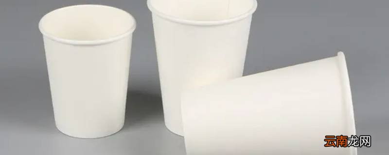 一次性杯子可以放在微波炉加热吗