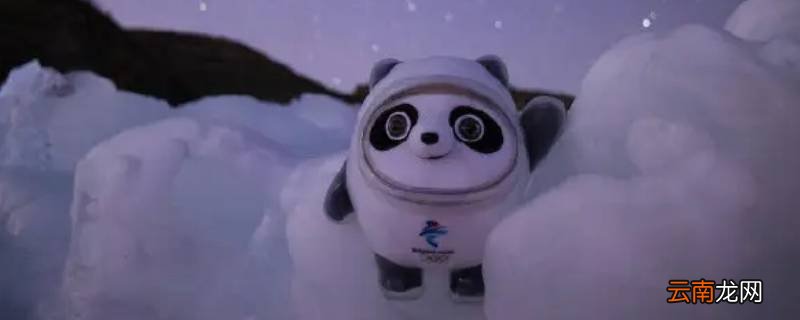 冰墩墩的尾巴是什么颜色的