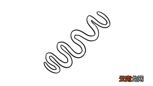热狗简笔画