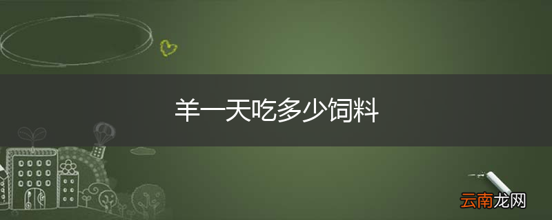 羊一天吃多少饲料