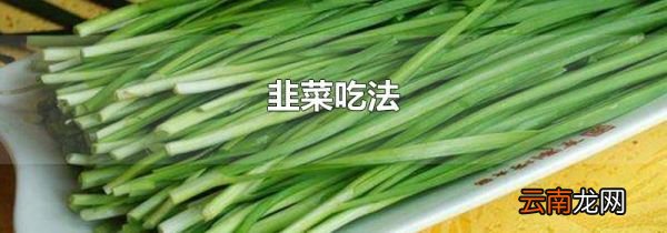 韭菜吃法