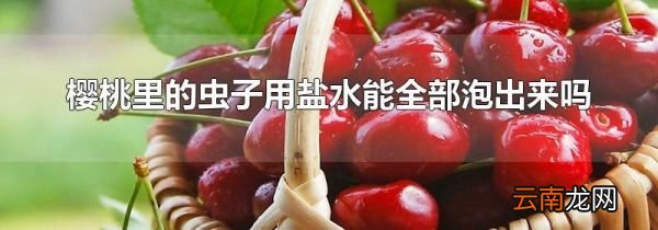 樱桃里的虫子用盐水能全部泡出来吗