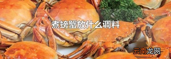 煮螃蟹放什么调料