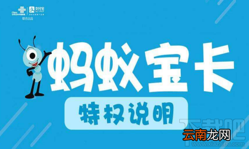 蚂蚁宝卡可以退款吗？蚂蚁宝卡怎么退款？