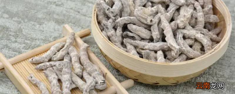 姜虫别名叫什么
