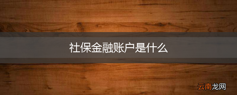 社保金融账户是什么