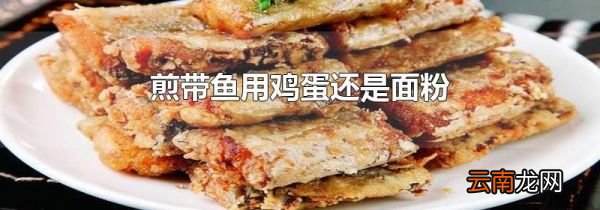 煎带鱼用鸡蛋还是面粉