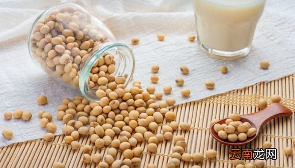街头豆浆杯一般是多少毫升的 街头豆浆杯是多少毫升的 商用豆浆杯一般是多少毫升