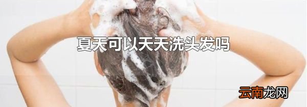 夏天可以天天洗头发吗