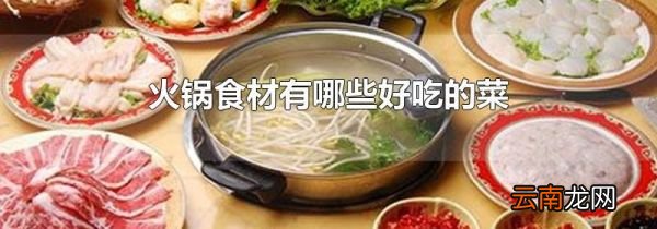 火锅食材有哪些好吃的菜