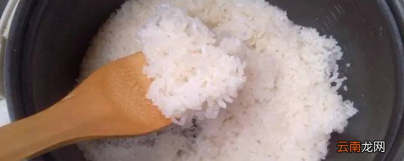 热米饭需要加水吗