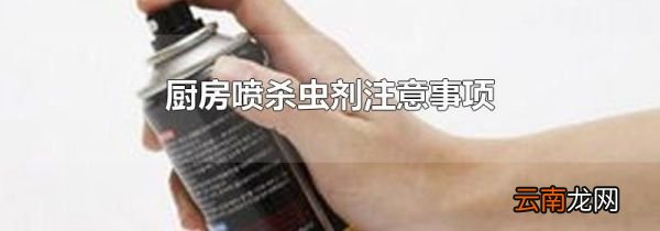 厨房喷杀虫剂注意事项