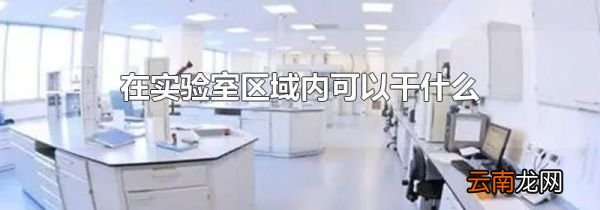 在实验室区域内可以干什么