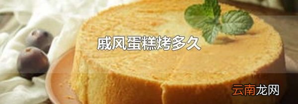 戚风蛋糕烤多久