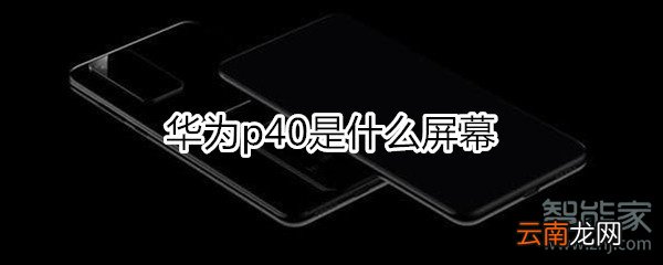 华为p40是什么屏幕
