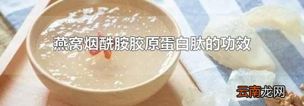 燕窝烟酰胺胶原蛋白肽的功效