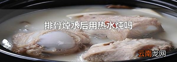 排骨焯水后用热水炖吗