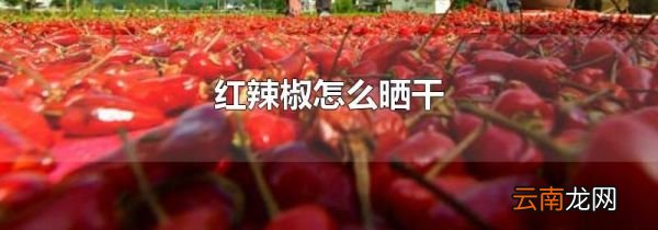 红辣椒怎么晒干