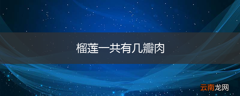 榴莲一共有几瓣肉
