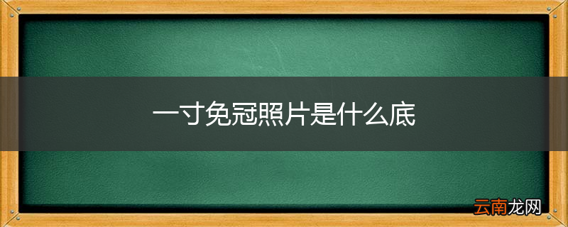 一寸免冠照片是什么底