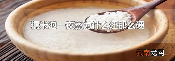 糯米泡一夜蒸为什么还那么硬