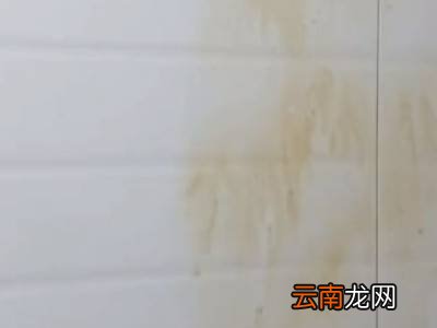 去油污小妙招