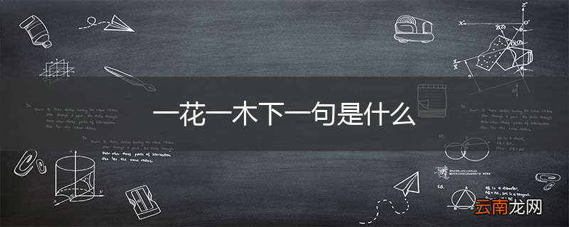 一花一木下一句是什么