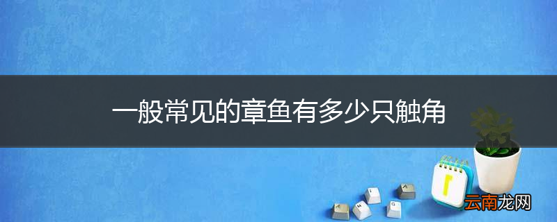 一般常见的章鱼有多少只触角
