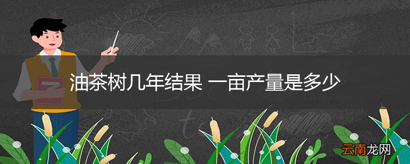 油茶树几年结果 一亩产量是多少