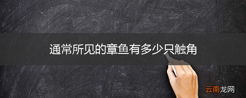 通常所见的章鱼有多少只触角