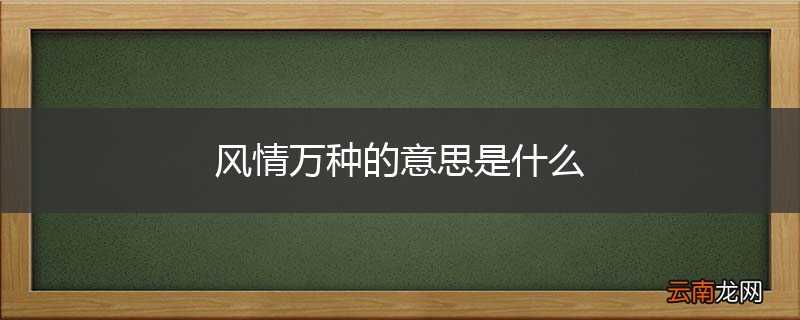风情万种的意思是什么