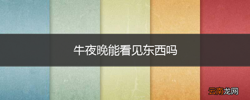 牛夜晚能看见东西吗