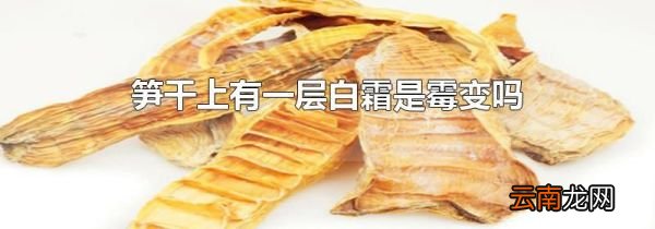 笋干上有一层白霜是霉变吗