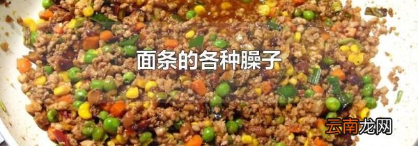 面条的各种臊子