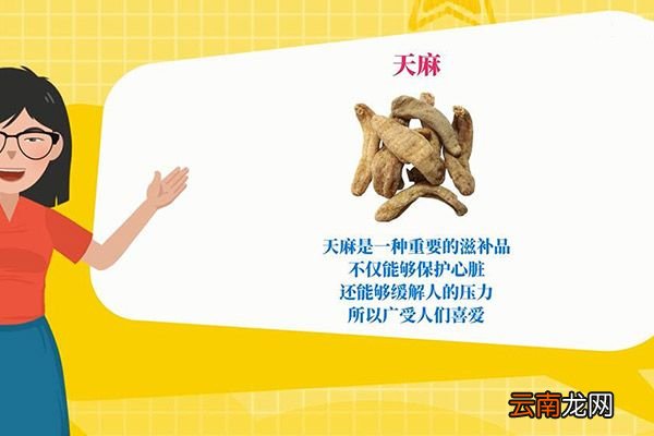 天麻的功效与作用吃法 天麻有什么作用