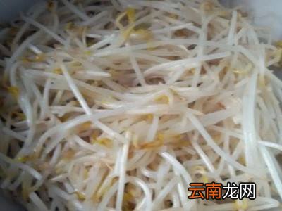 煮生牛百叶的正确方法