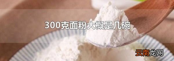 300克面粉大概是几碗