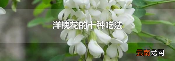 洋槐花的十种吃法