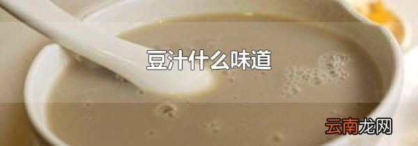 豆汁什么味道